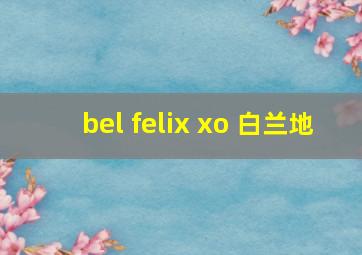 bel felix xo 白兰地